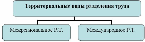 Территориальные виды разделения труда