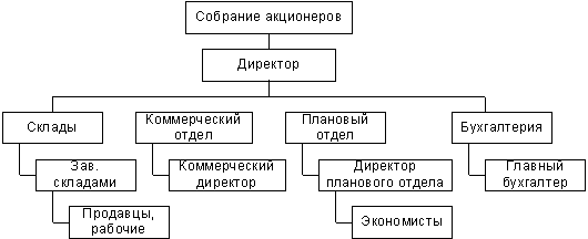 Структура управления продовольственной оптовой базой Структура управления продовольственной оптовой базой