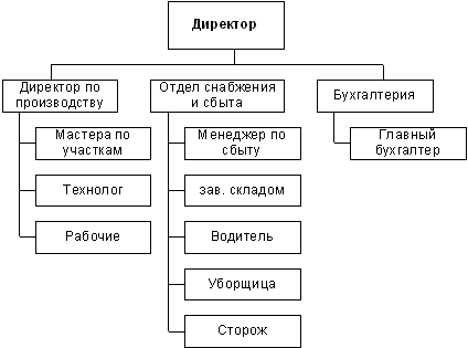 Организационная структура предприятия по производству тротуарной плитки