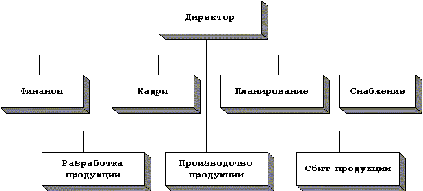 Функциональная система линейно-функциональной организационной структуры